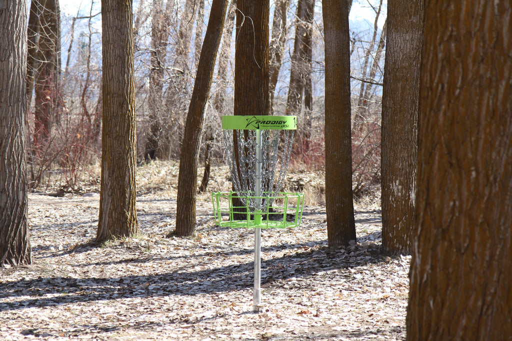 Aiming, Throwing, and Making a Shot – Tips for Beginner Disc Golfers